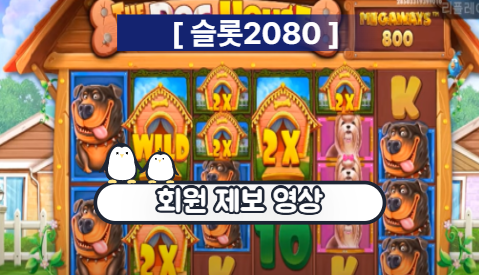 [슬롯2080] 도그하우스메가웨이 (The Dog House® Megaways) 3500배 잭팟 당첨!! (회원 제보 영상)