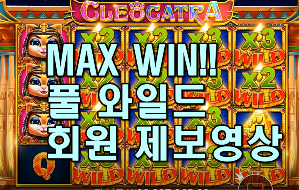 [슬롯2080] 클레오캐트라 - Cleocatra 와일드 풀칸 찼다!! MAXWIN ( 제보영상 )